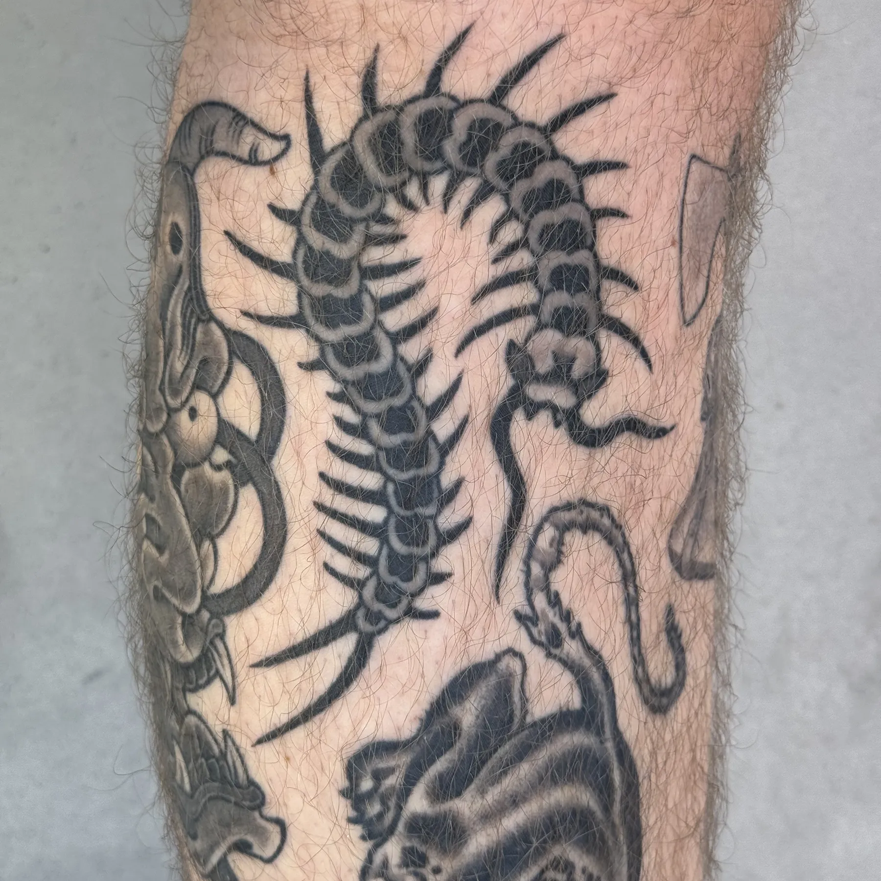 Healed black and gray Japanese centipede tattoo