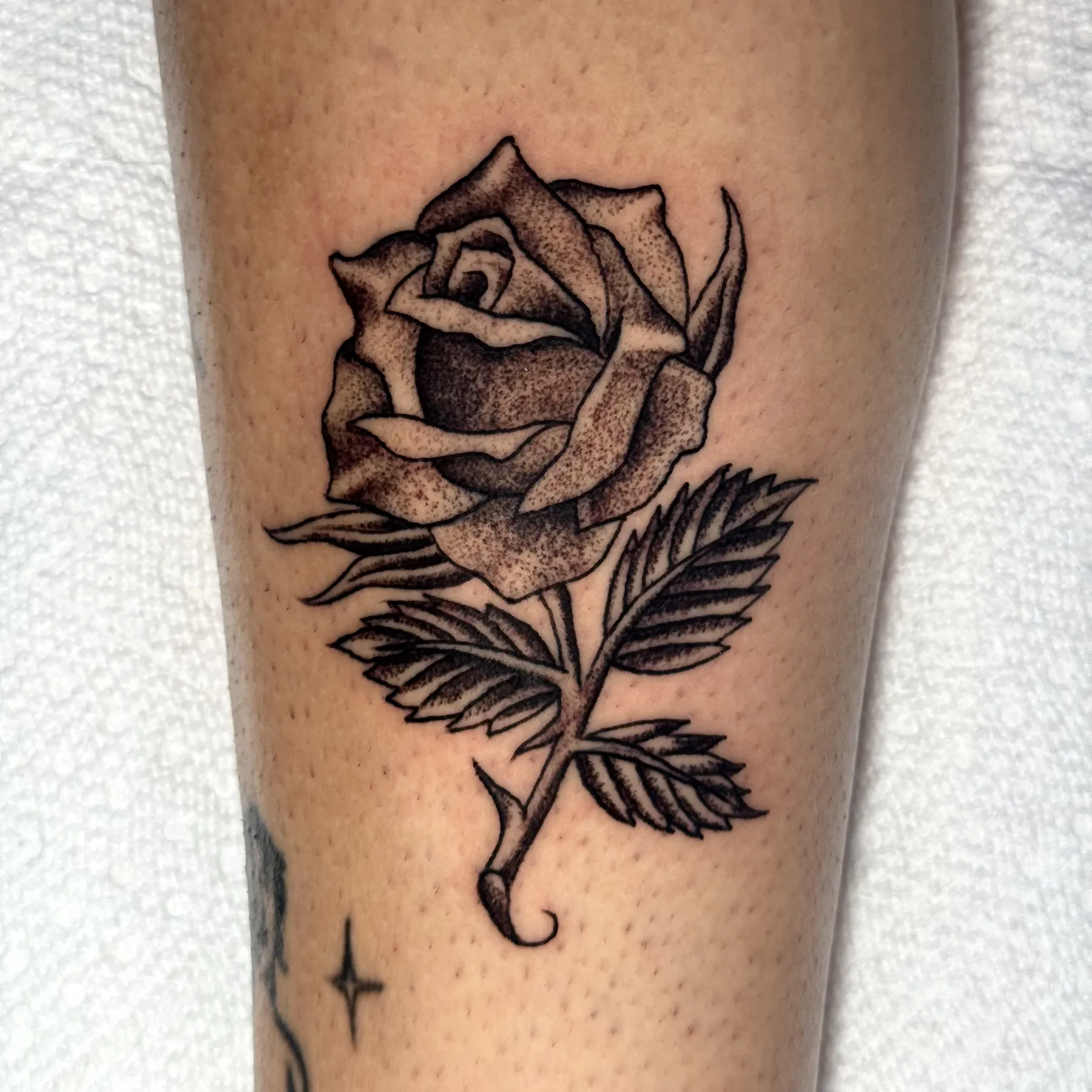 Rose tattoo