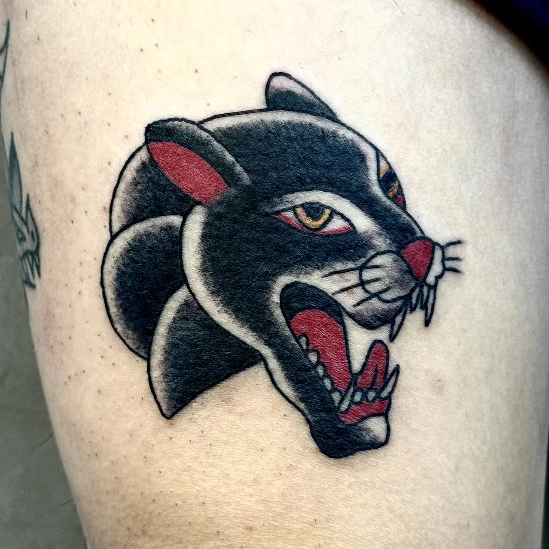 American traditional panther tattoo
