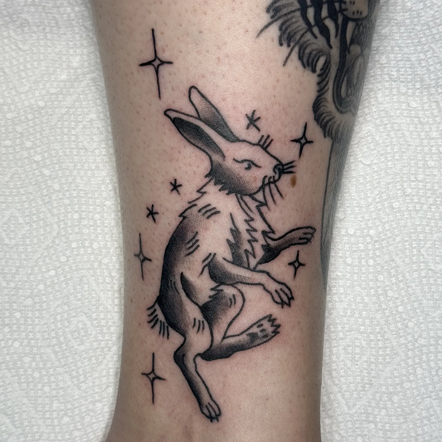 Rabbit, fine line, black and gray tattoo